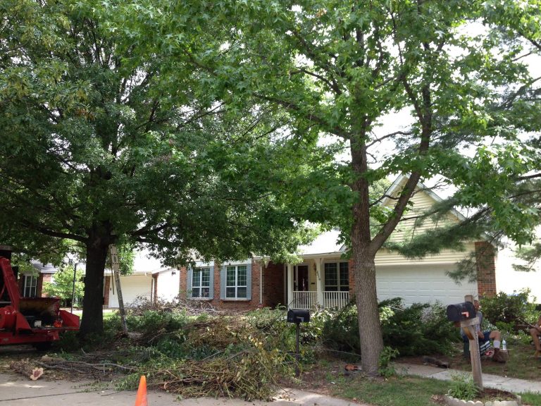 Bill McCabe Tree Service Serving the Greater St. Louis MO